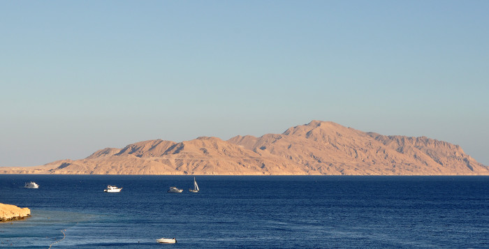 Tiran_R01