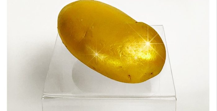 goldene_kartoffel-3-logo-800px
