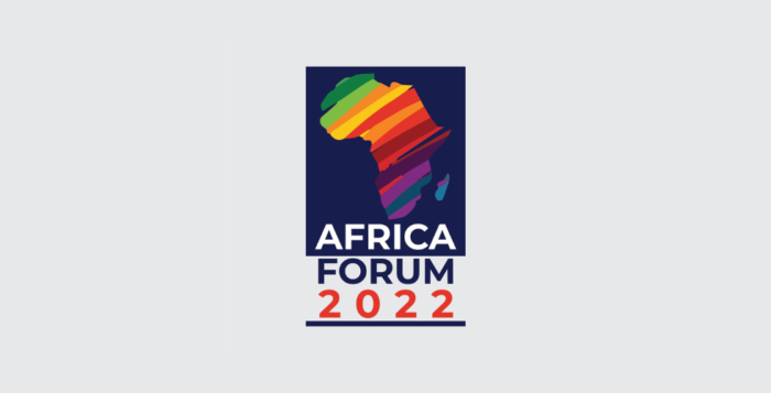 Erstes Afrika-Forum Baden-Württemberg. © Stiftung Entwicklungs-Zusammenarbeit Baden-Württemberg