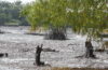 Aufgrund der starken Ölverschmutzung in der Region von Ogale und Bille sind bereits Menschen ums Leben gekommen. © Friends of the Earth International, Flickr.com