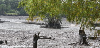 Aufgrund der starken Ölverschmutzung in der Region von Ogale und Bille sind bereits Menschen ums Leben gekommen. © Friends of the Earth International, Flickr.com
