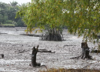 Aufgrund der starken Ölverschmutzung in der Region von Ogale und Bille sind bereits Menschen ums Leben gekommen. © Friends of the Earth International, Flickr.com